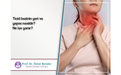 Tioid bezinin yeri ve yapısı nasıldır