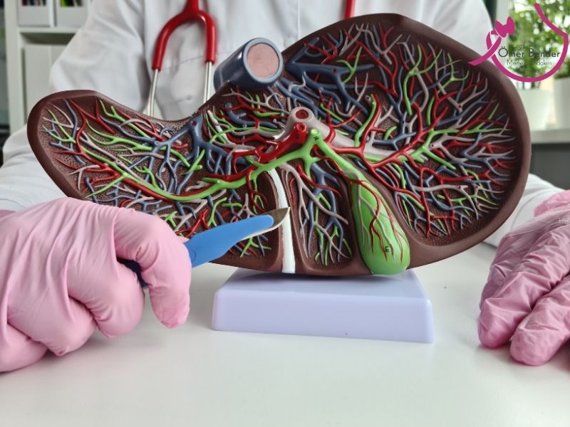 Safra Kesesi İltihabı Neden Olur