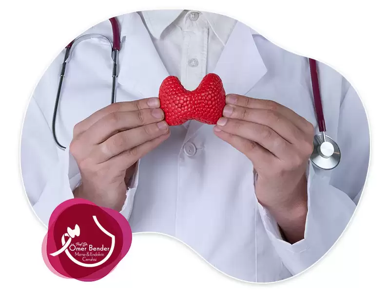 Tiroid Hormonları Nasıl Salgılanır?